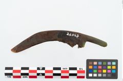 Foto von Eisengriffangelmesser (NHMW-PRAE-026043)